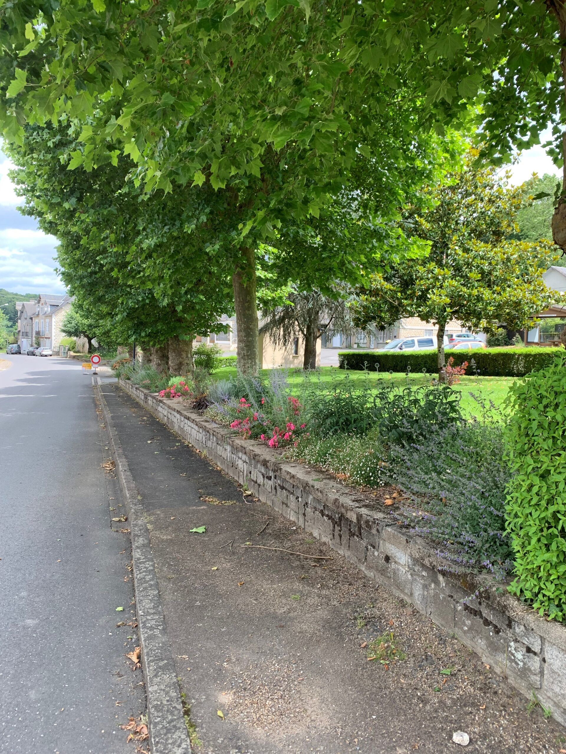 photo bord de route fleurie